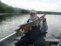 Rob Linn - DSC07025